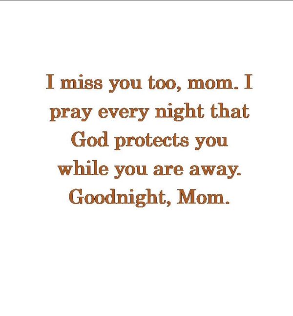 Goodnight Mom.jpg2